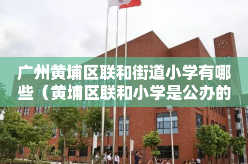 广州黄埔区联和街道小学有哪些（黄埔区联和小学是公办的吗）