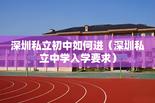深圳私立初中如何进（深圳私立中学入学要求）
