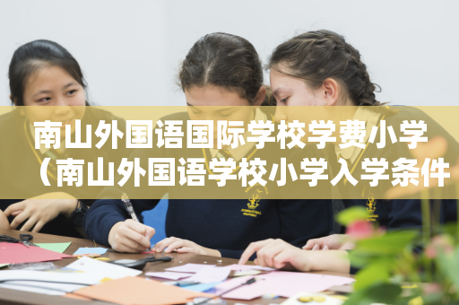 南山外国语国际学校学费小学（南山外国语学校小学入学条件）