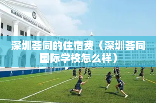 深圳荟同的住宿费（深圳荟同国际学校怎么样）