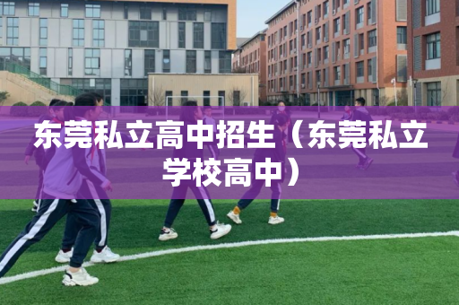 东莞私立高中招生（东莞私立学校高中）