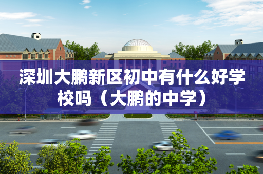 深圳大鹏新区初中有什么好学校吗（大鹏的中学）