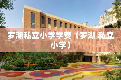 罗湖私立小学学费（罗湖 私立小学）