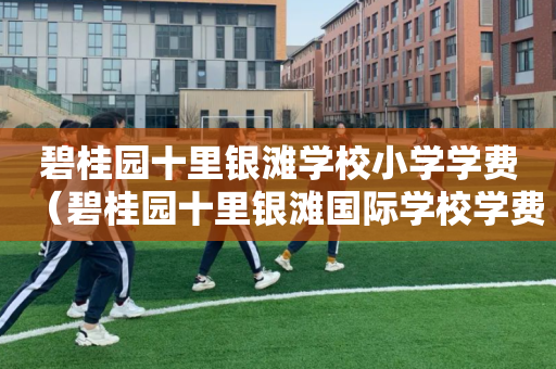 碧桂园十里银滩学校小学学费（碧桂园十里银滩国际学校学费2021）