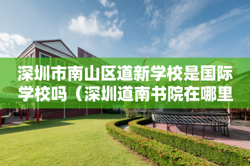 深圳市南山区道新学校是国际学校吗（深圳道南书院在哪里）