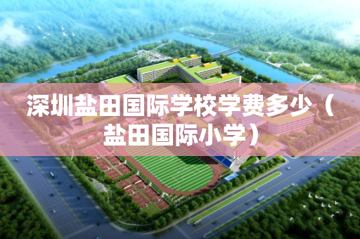 深圳盐田国际学校学费多少（盐田国际小学）
