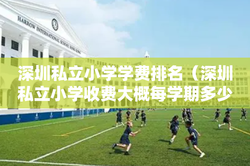 深圳私立小学学费排名（深圳私立小学收费大概每学期多少）
