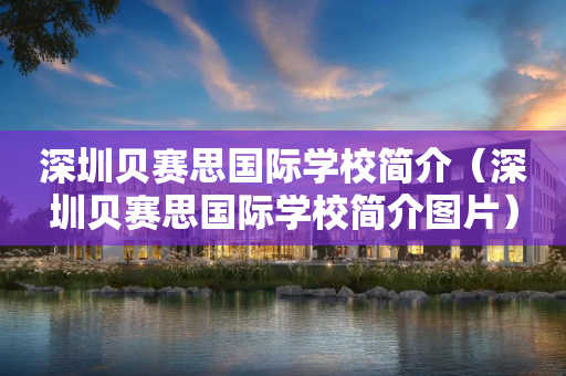 深圳贝赛思国际学校简介（深圳贝赛思国际学校简介图片）
