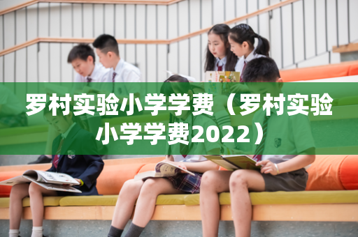 罗村实验小学学费（罗村实验小学学费2022）