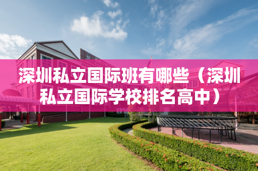 深圳私立国际班有哪些（深圳私立国际学校排名高中）