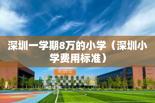 深圳一学期8万的小学（深圳小学费用标准）