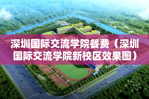 深圳国际交流学院餐费（深圳国际交流学院新校区效果图）