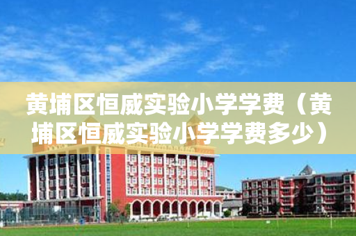 黄埔区恒威实验小学学费（黄埔区恒威实验小学学费多少）