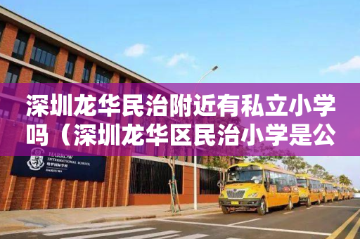深圳龙华民治附近有私立小学吗（深圳龙华区民治小学是公立学校吗）