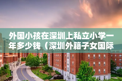 外国小孩在深圳上私立小学一年多少钱（深圳外籍子女国际学校学费）