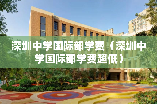 深圳中学国际部学费（深圳中学国际部学费超低）