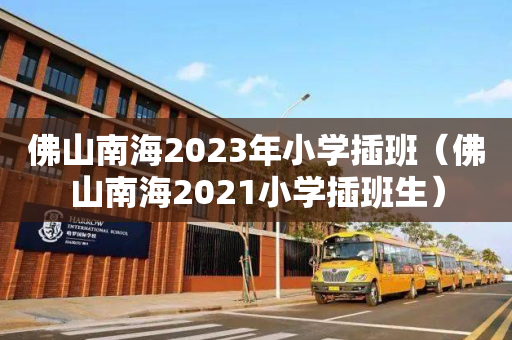 佛山南海2023年小学插班（佛山南海2021小学插班生）