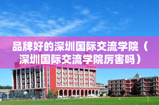 品牌好的深圳国际交流学院（深圳国际交流学院厉害吗）