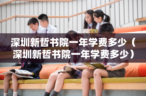 深圳新哲书院一年学费多少（深圳新哲书院一年学费多少）