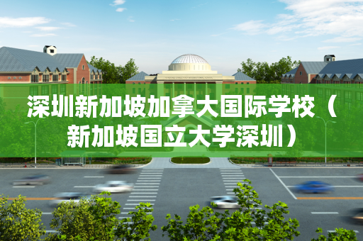 深圳新加坡加拿大国际学校（新加坡国立大学深圳）