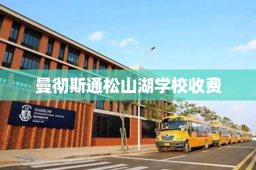 曼彻斯通松山湖学校收费