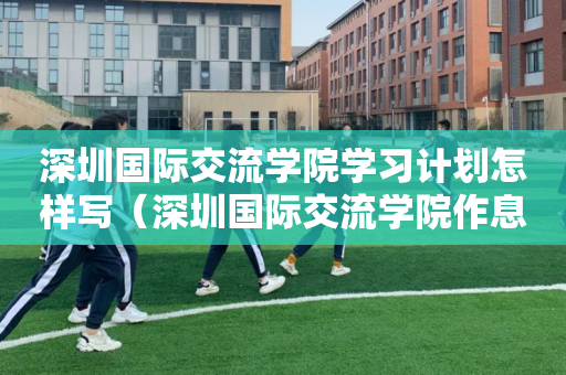 深圳国际交流学院学习计划怎样写（深圳国际交流学院作息表）