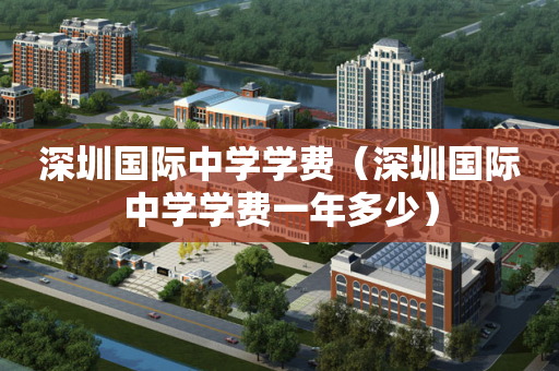 深圳国际中学学费（深圳国际中学学费一年多少）