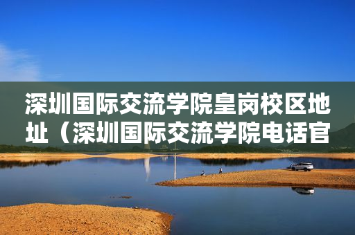 深圳国际交流学院皇岗校区地址（深圳国际交流学院电话官网百度百科）
