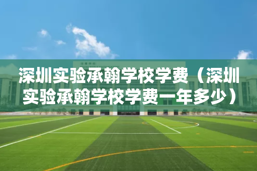 深圳实验承翰学校学费（深圳实验承翰学校学费一年多少）