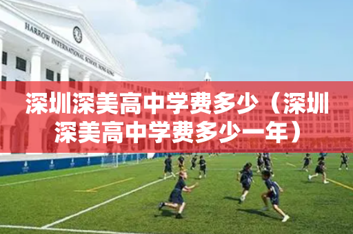 深圳深美高中学费多少（深圳深美高中学费多少一年）