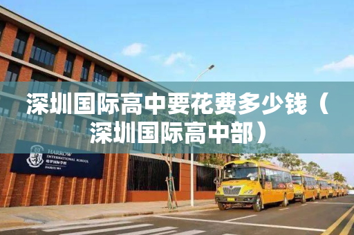 深圳国际高中要花费多少钱（深圳国际高中部）