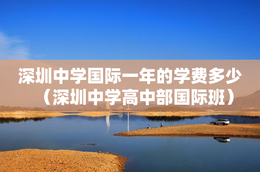 深圳中学国际一年的学费多少（深圳中学高中部国际班）