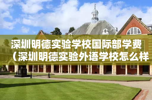 深圳明德实验学校国际部学费（深圳明德实验外语学校怎么样）