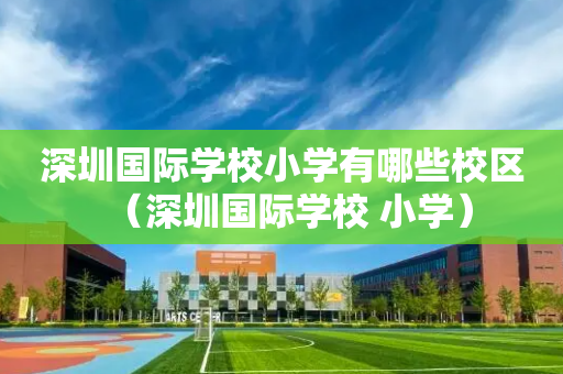深圳国际学校小学有哪些校区（深圳国际学校 小学）