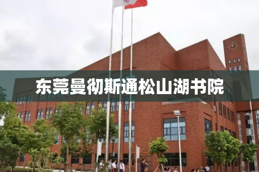 东莞曼彻斯通松山湖书院