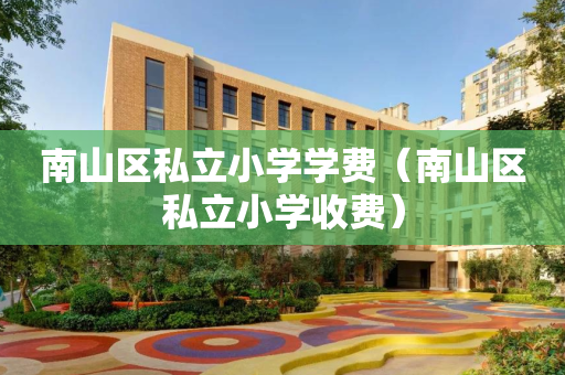 南山区私立小学学费（南山区私立小学收费）