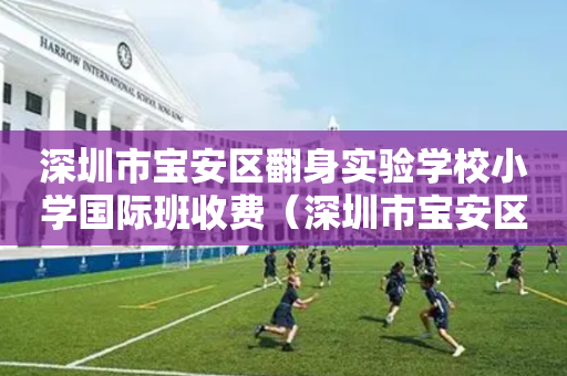 深圳市宝安区翻身实验学校小学国际班收费（深圳市宝安区翻身实验学校学费多少）