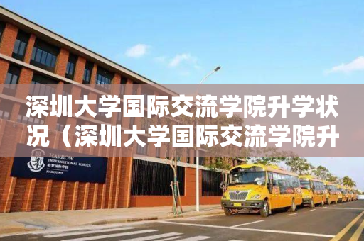 深圳大学国际交流学院升学状况（深圳大学国际交流学院升学状况）