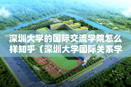 深圳大学的国际交流学院怎么样知乎（深圳大学国际关系学院）