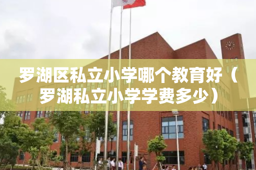 罗湖区私立小学哪个教育好（罗湖私立小学学费多少）