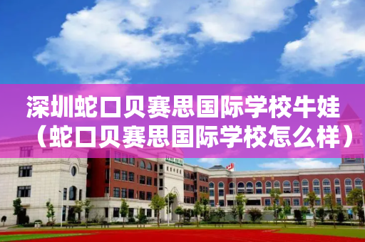 深圳蛇口贝赛思国际学校牛娃（蛇口贝赛思国际学校怎么样）