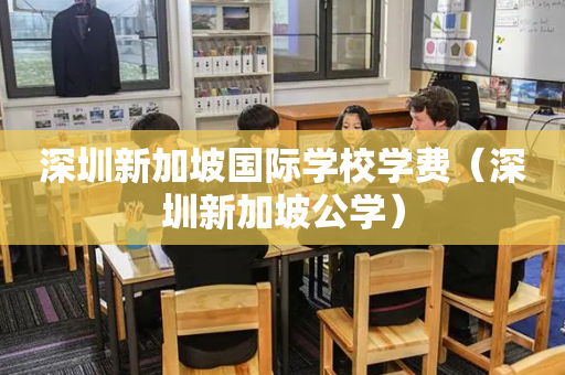 深圳新加坡国际学校学费（深圳新加坡公学）