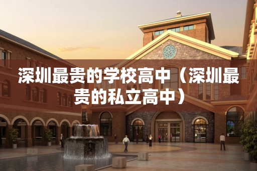 深圳最贵的学校高中（深圳最贵的私立高中）