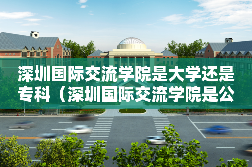 深圳国际交流学院是大学还是专科（深圳国际交流学院是公办还是民办）
