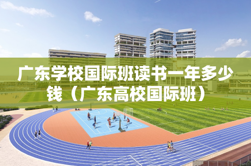 广东学校国际班读书一年多少钱（广东高校国际班）