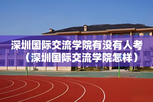 深圳国际交流学院有没有人考（深圳国际交流学院怎样）