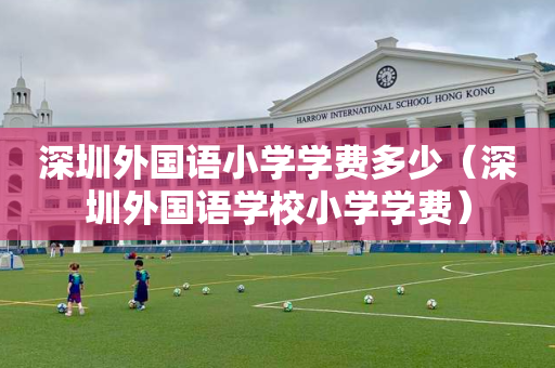 深圳外国语小学学费多少（深圳外国语学校小学学费）