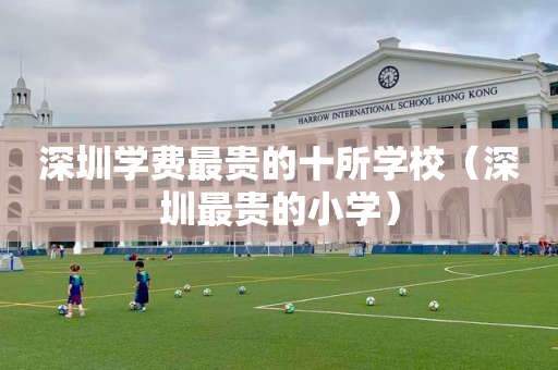 深圳学费最贵的十所学校（深圳最贵的小学）