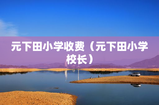 元下田小学收费（元下田小学校长）