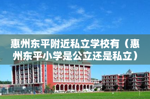 惠州东平附近私立学校有（惠州东平小学是公立还是私立）